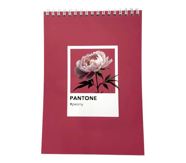 Блокнот А5, софт тач ламинация, Дизайнерская коллекция "Pantone", розовый