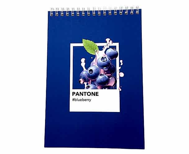 Блокнот А5, софт тач ламинация, Дизайнерская коллекция "Pantone", синий